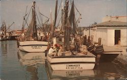 Shrimp Boats Postcard