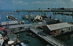 Turtle Kraal and shrimp fleet, docks, boats Postcard