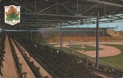 Land of the Maple. Canada. Baseball stadium Postcard