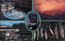 Dow Villa Motel Postcard