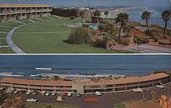 Sea Crest Motel, beach, palm trees Postcard