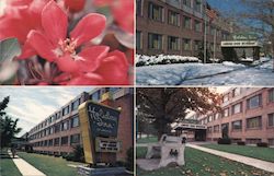 Watertown's Holiday Inn Postcard