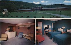 Vestal Motel New York Postcard Postcard Postcard