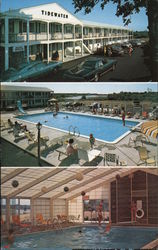 Tidewater Motor Lodge Postcard