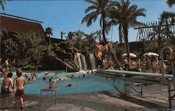 The Polynesian Village - Walt Disney World Orlando, FL Postcard Postcard Postcard