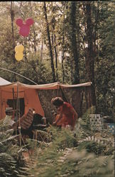 Fort Wilderness - Disney World Postcard