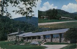 Boundary Tree Dining Room Postcard