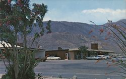 Portion of Borrego Springs business center Postcard