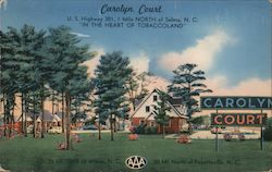 Carolyn Court Postcard