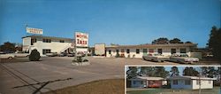 Motel Iris Large Format Postcard