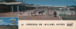 Ponderosa Inn Large Format Postcard