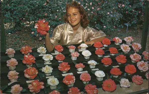 Descanso Gardens La Canada California