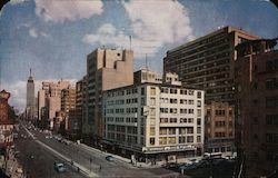 Avenue view Postcard