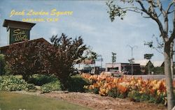 Jack London Square on the Estuary Postcard