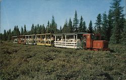 The Toonerville Trolley, Soo Junction Newberry, MI Postcard Postcard Postcard