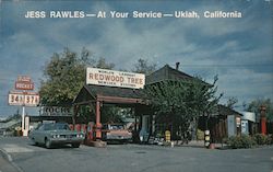 World's Largest Redwood Tree Service Station Postcard