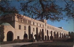 California Institute of Technology (Cal.-Tech) Postcard