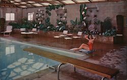 Shaffer's Tropical Gardens, Inc Postcard