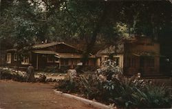 Sycamore Grove vacation camp Postcard