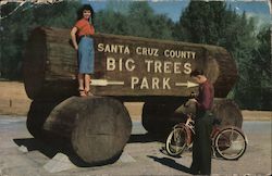 Entrance to Big Trees Park Postcard