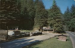 Jaye's Timberlane Resort Ben Lomond, CA Postcard Postcard Postcard