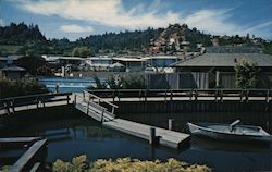Spring Lakes for mobile home living Postcard