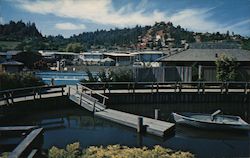 Spring Lakes for mobile home living Santa Cruz, CA Postcard Postcard Postcard