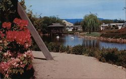 Spring Lakes Santa Cruz, CA Scotts Valley Photography Postcard Postcard Postcard