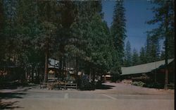 Ducey's Bass Lake Lodge California Ray Foster Postcard Postcard Postcard