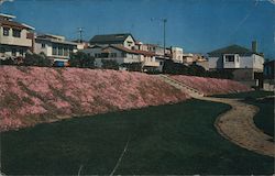 Manhattan Beach, moss roses on hillside, houses California Postcard Postcard Postcard