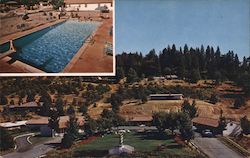 Ed Johnson's Gold Trail Motor Lodge Placerville, CA Postcard Postcard Postcard