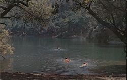 Zaca Lake, Santa Barbara County Postcard