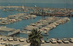 Yacht Harbor Postcard