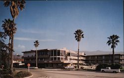 Stock #833063 Thumbnail