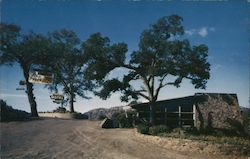 Mountaire Motel & Coffee Shop Postcard