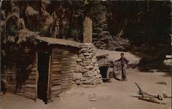 Tharp's Log home in Sequoia National Park Postcard