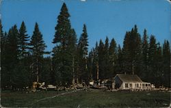 White Wolf Lodge, Yosemite National Park Postcard