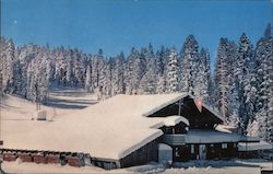 Ski House at Badger Pass Yosemite National Park, CA Douglas Whiteside Postcard Postcard Postcard