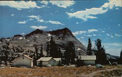 Yosemite National Park, California Postcard