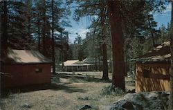 Yosemite National Park, California Tuolumne Meadows Lodge Postcard