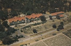 The Christian Brothers Wine and Champagne Cellar Postcard