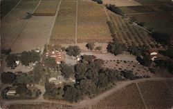 Charles Krug Winery Postcard