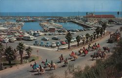 Yacht Harbor Postcard
