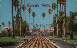 Beverly Hills Hotel as seen looking through Will Rogers Memorial Park California Postcard Postcard Postcard