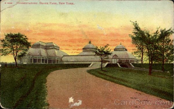 Conservatory , Bronx Park New York City
