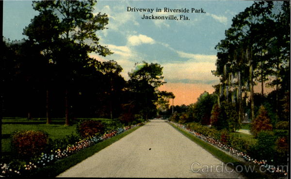 Driveway In Riverside Park Jacksonville Florida