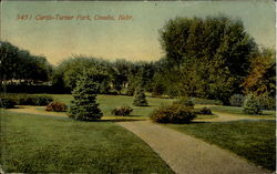 Curtis , Turner Park Postcard