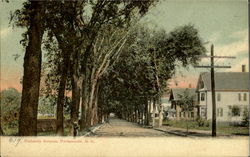 Richards Avenue Postcard