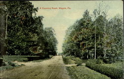 A Country Road Postcard