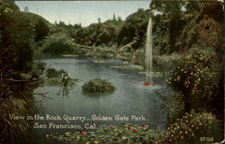 View In The Rock Quarry, Golden Gate Park Postcard